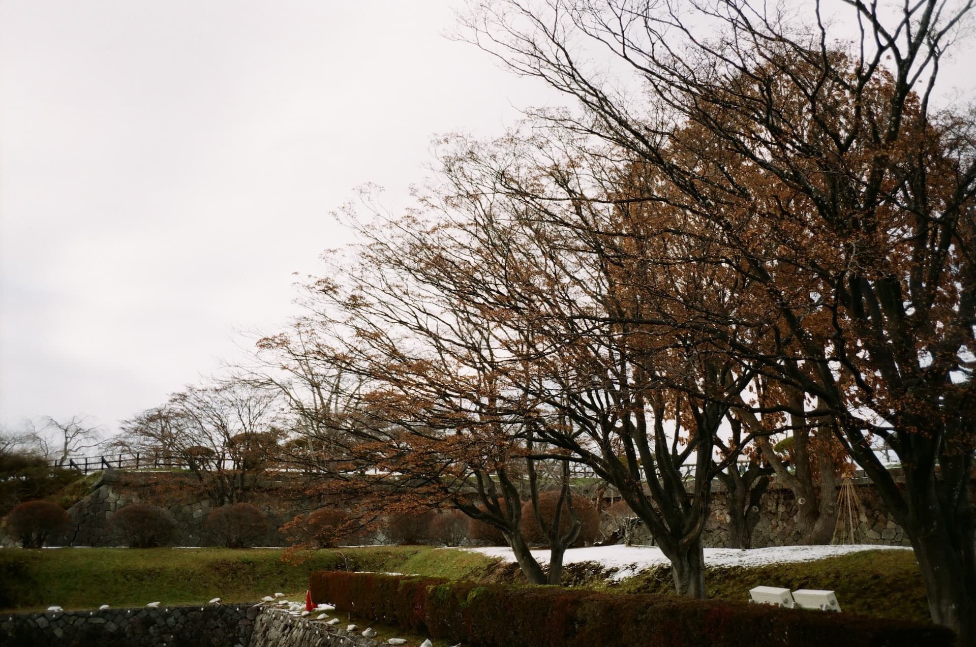 Hokkaido on Thu, December 05, 2024 by cle (Christian Le)