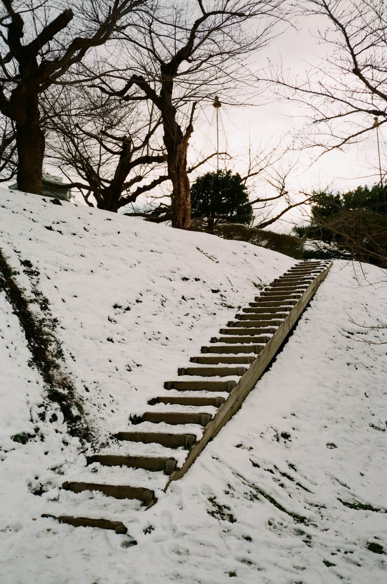 Hokkaido on Thu, December 05, 2024 by cle (Christian Le)