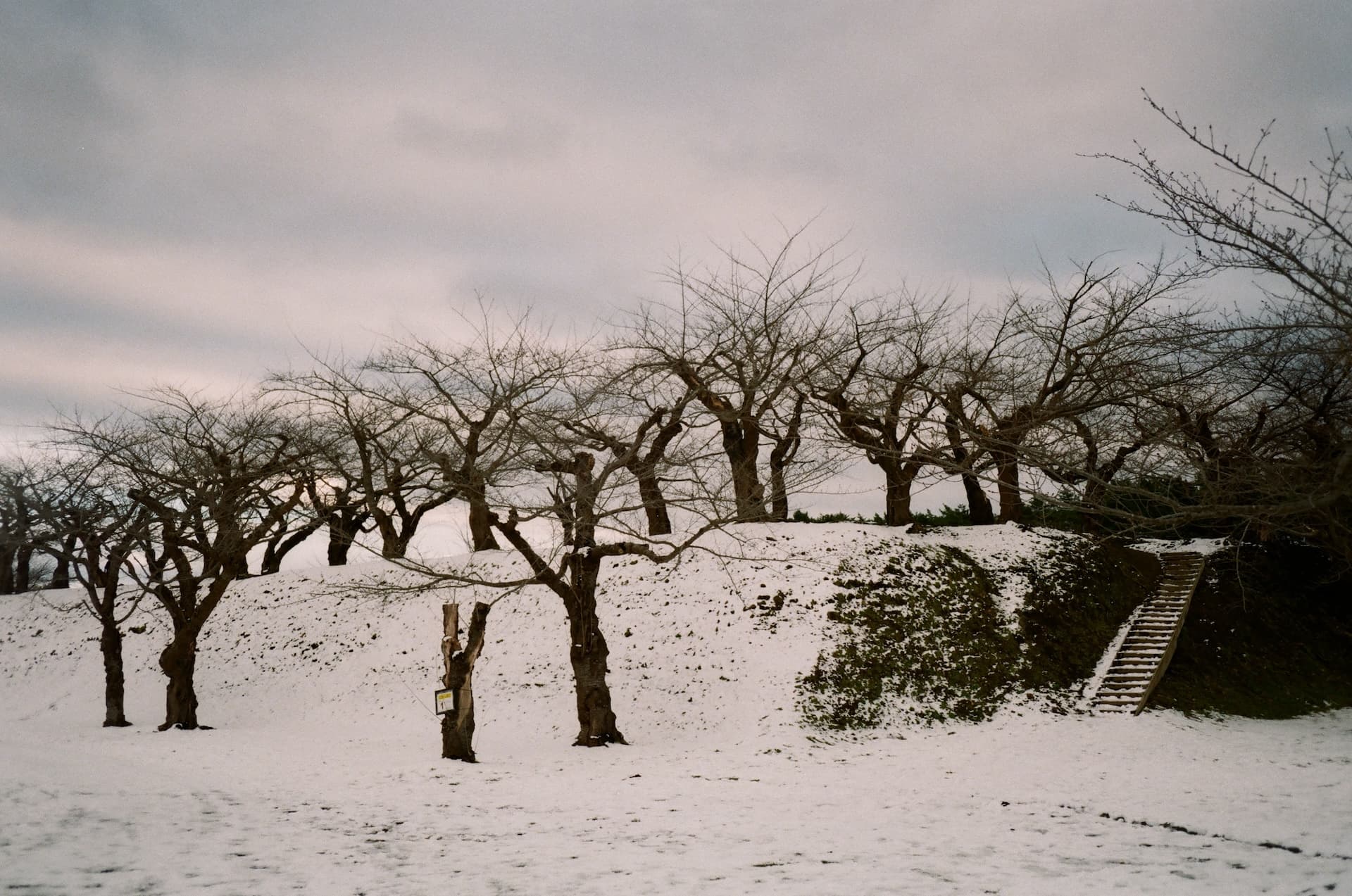 Hokkaido on Thu, December 05, 2024 by cle (Christian Le)