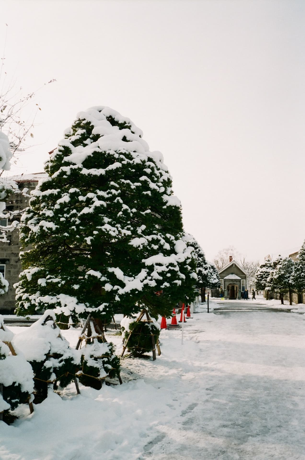 Hokkaido on Thu, December 05, 2024 by cle (Christian Le)