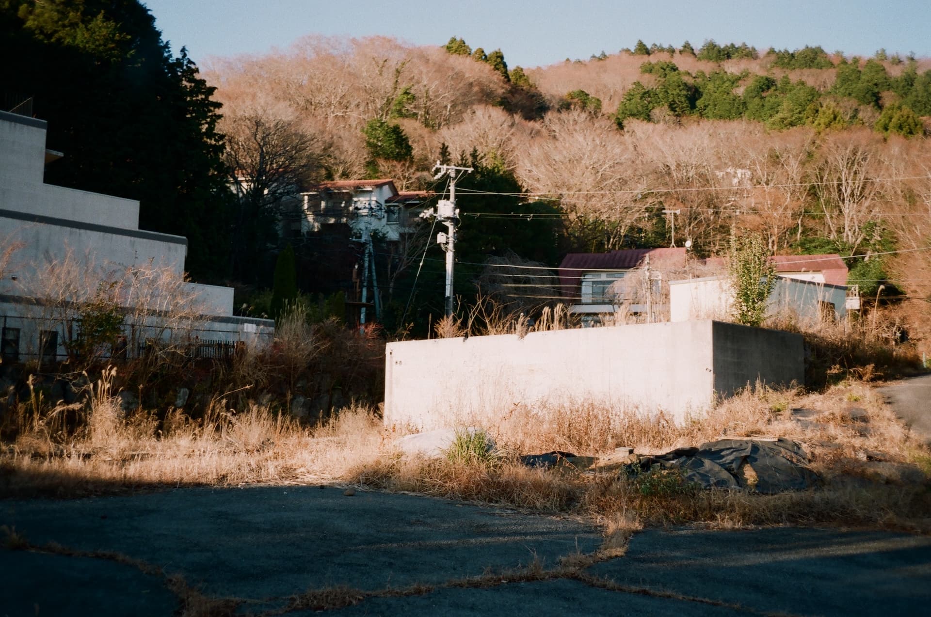 Hakone on Tue, December 17, 2024 by cle (Christian Le)
