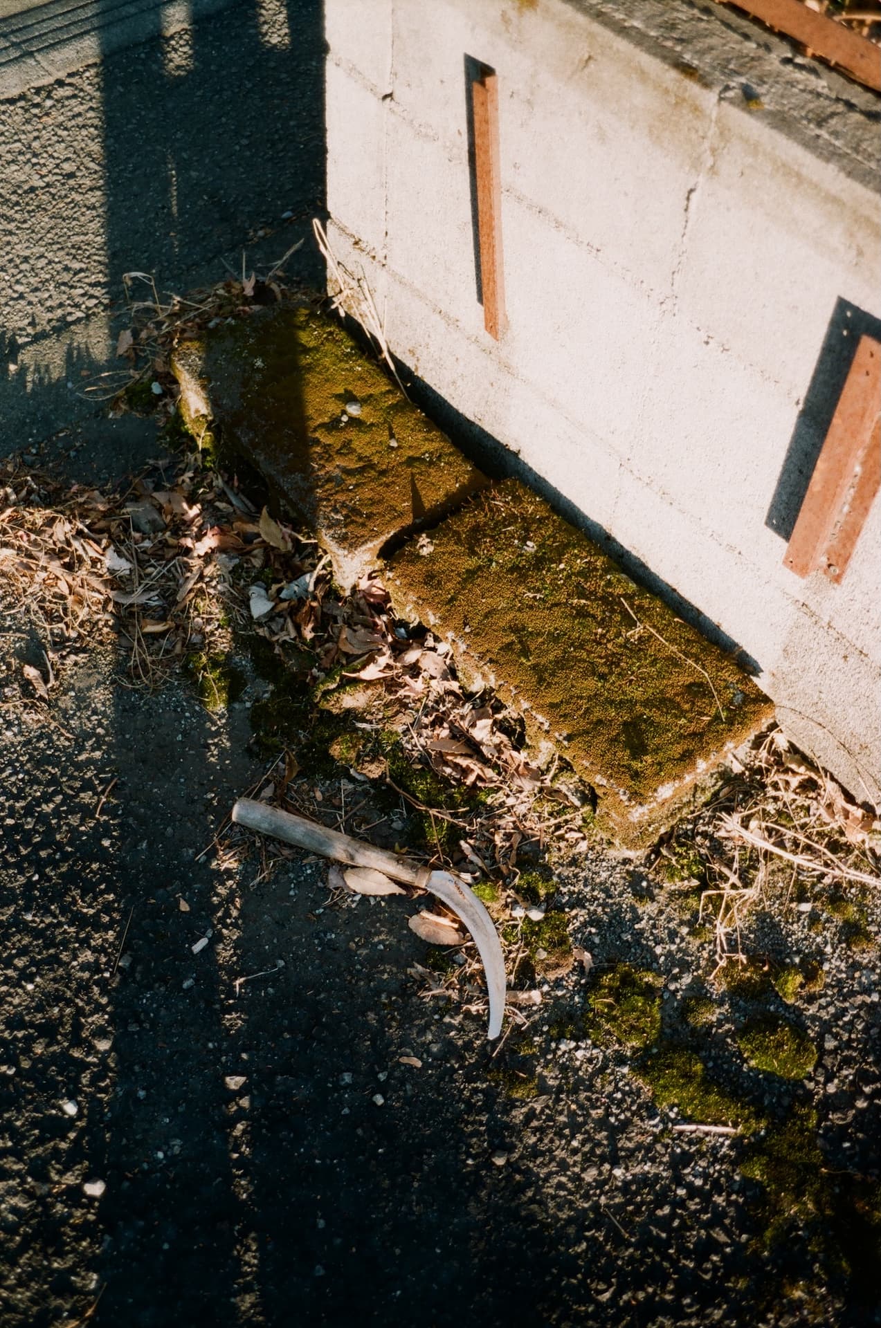 Hakone on Tue, December 17, 2024 by cle (Christian Le)