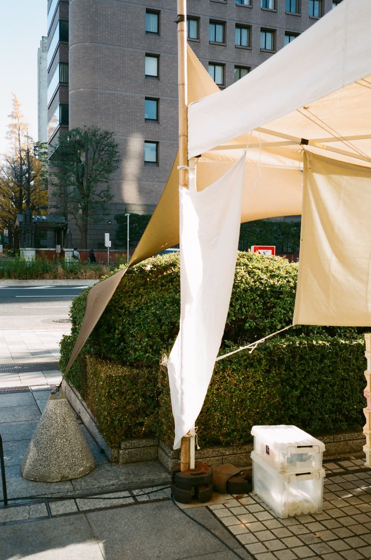 Tokyo on Sun, December 15, 2024 by cle (Christian Le)